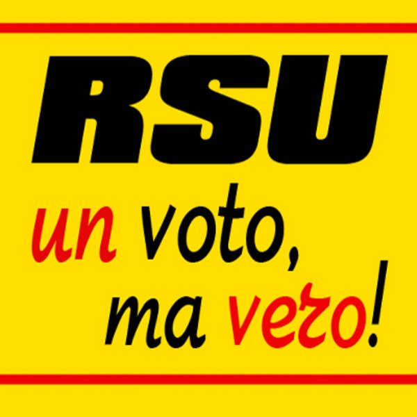 USB Unione Sindacale di Base Varese RSU NEL PUBBLICO IMPIEGO